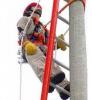 Foto de Safety big company sas