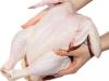Foto de Pollo saurio